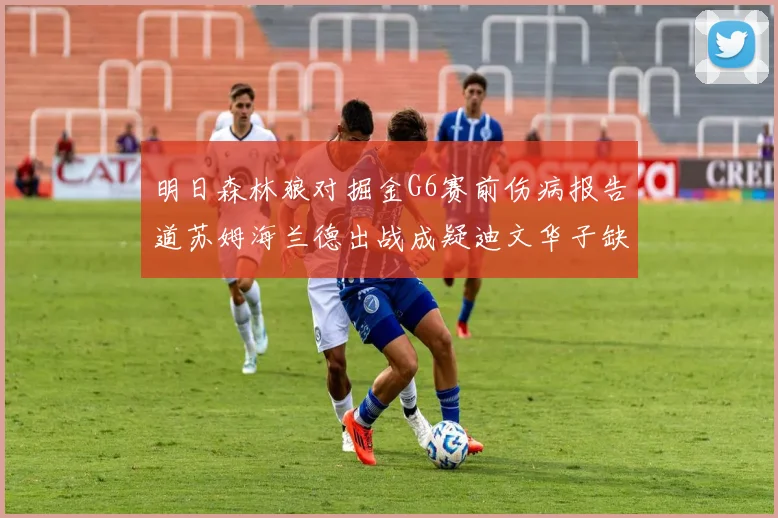明日森林狼对掘金G6赛前伤病报告道苏姆海兰德出战成疑迪文华子缺阵