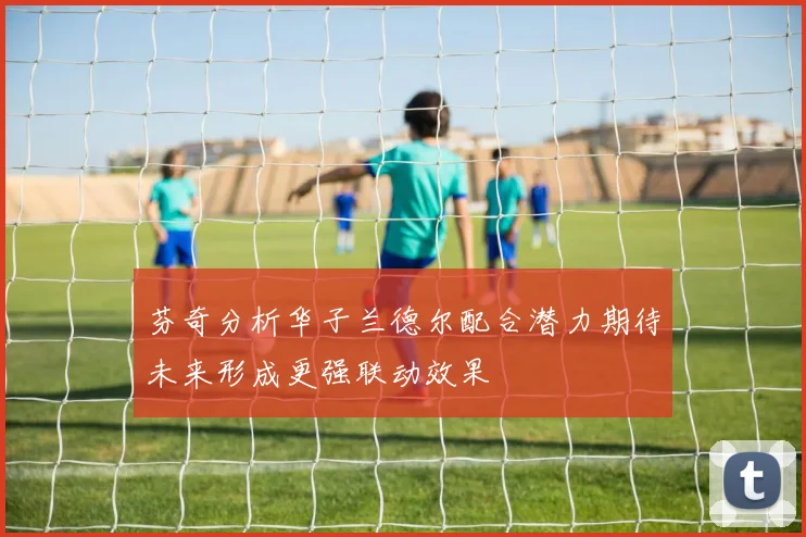 芬奇分析华子兰德尔配合潜力期待未来形成更强联动效果
